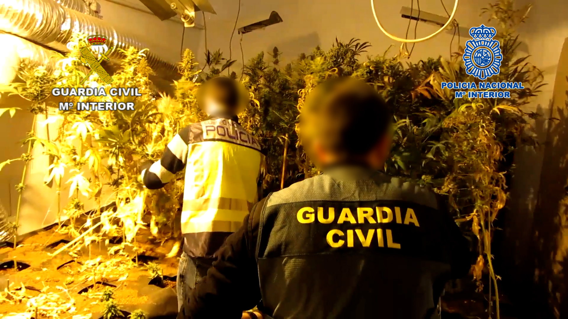 La Guardia Civil de Albacete realiza una jornada de formación para guardas rurales
