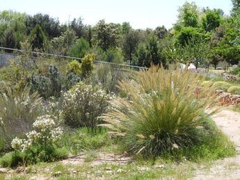 El patronato del Jardín Botánico de Castilla-La Mancha aprueba un presupuesto de casi 511.000 euros para 2023