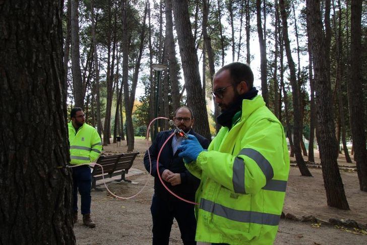 La Concejalía de Sostenibilidad de Albacete realizará tratamiento por endoterapia en 300 pinos para prevenir la procesionaria