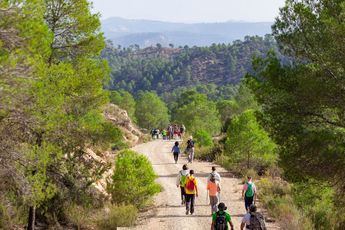 Alborea y Minaya, nuevos escenarios para las Rutas de Senderismo de la Diputación