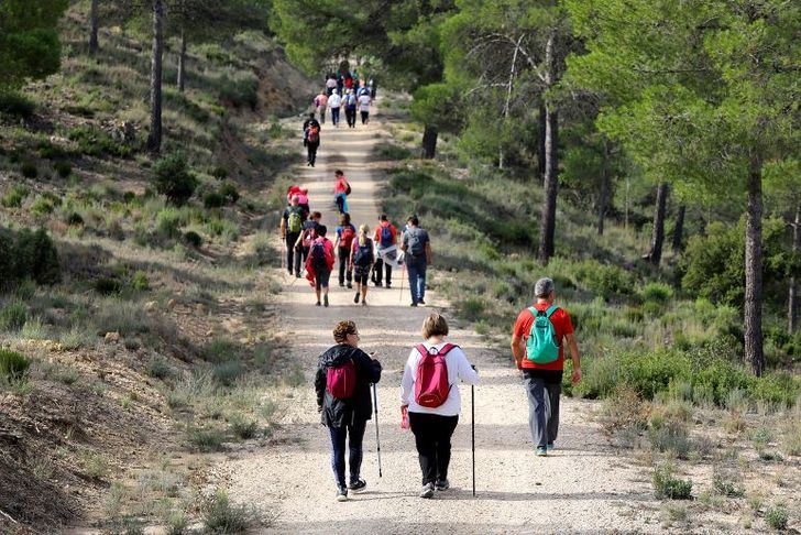 Deslumbrante Alborea, en su cita con las rutas de Senderismo de la Diputación Provincial