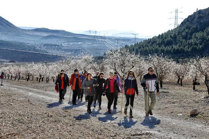 Fantástico día en la VI ruta de senderismo de la Diputación celebrada en Ontur