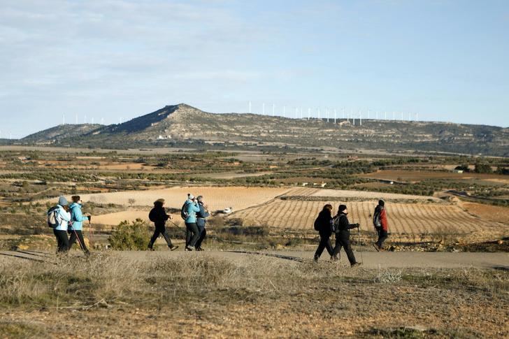 Alpera acogió con hielo y sol la VI edición de las rutas senderistas de la Diputación