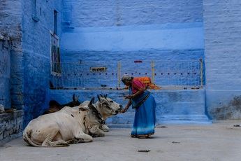 Om Shanti - Paz Mundial: reflexiones sobre la globalización y la identidad india