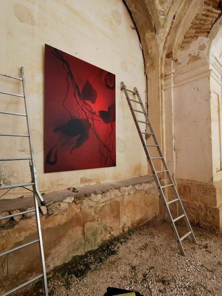 Renaciendo, la exposición que reabrirá el Convento de los Carmelitas de Budia