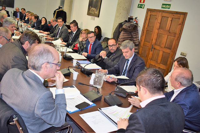 Cabañero participa en la Comisión de Diputaciones Provinciales, Cabildos y Consejos Insulares de la FEMP