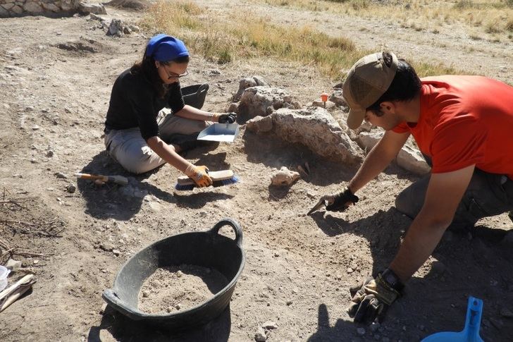 La tercera campaña de excavaciones en la Alquería de La Graja en Higueruela arroja un hallazgo de “relevancia nacional”