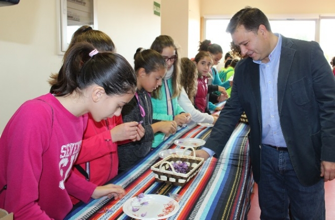 Las V Jornadas del Azafrán pueden ayudar a acercar este típico producto manchego a los escolares de Albacete