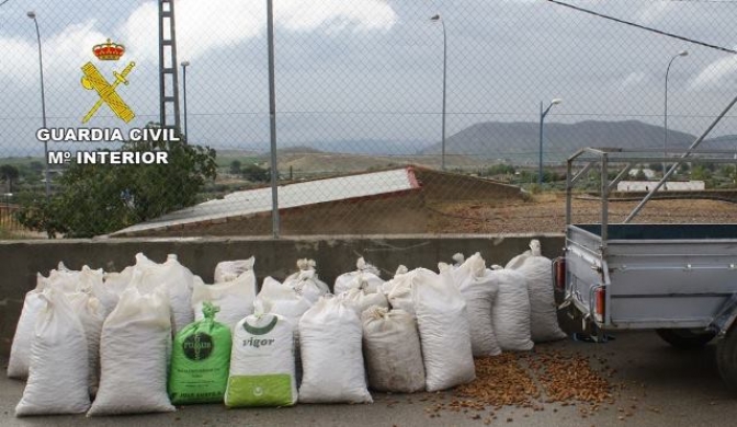 Tres detenidos y un imputado por el robo de cinco toneladas de almendras en Liétor
