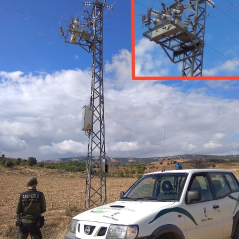 Agentes Medioambientales inspeccionando los tendidos eléctricos.