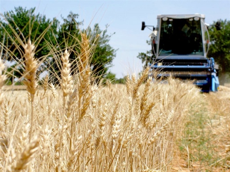 ASAJA Albacete considera inadmisible la campaña de inspecciones en explotaciones agrícolas