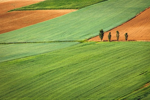 La importancia de la maquinaria agrícola en la agricultura de Albacete