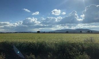 Publicada la Ley de Despoblación de Castilla-La Mancha, que entrará en vigor el día 1 de junio