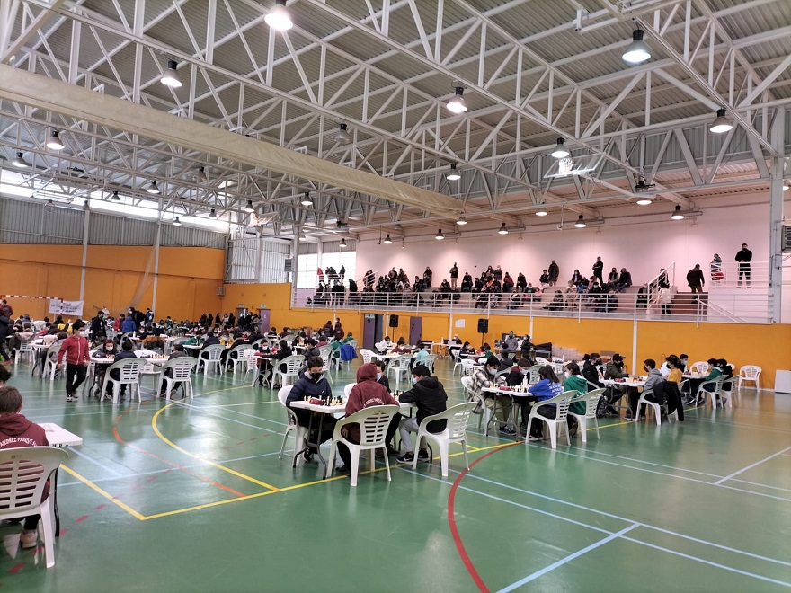 El ajedrez y los valores del deporte se dan la mano entre los más pequeños  de Albacete - infoCLM