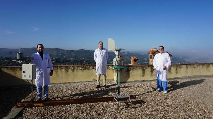 Alergólogos del Hospital de Toledo, premiados por un trabajo la cosecha de aceituna en función del polen del olivo