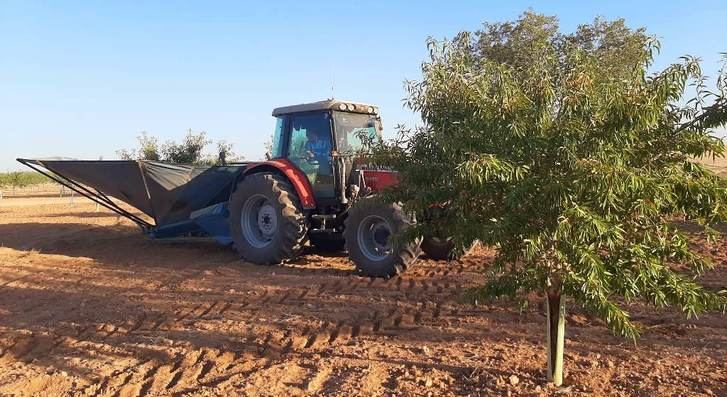 El 80% de las consultas sobre cultivos leñosos al ITAP están relacionados con el pistachero y el almendro