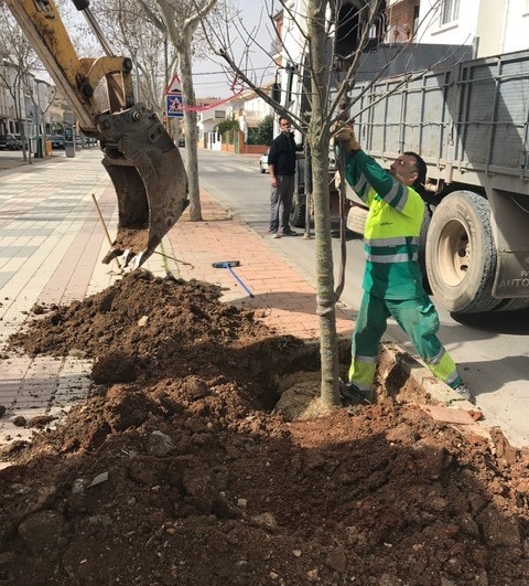 La provincia de Albacete está en alerta amarilla por fuerte viento, pudiendo superar los 80 kilómetros por hora