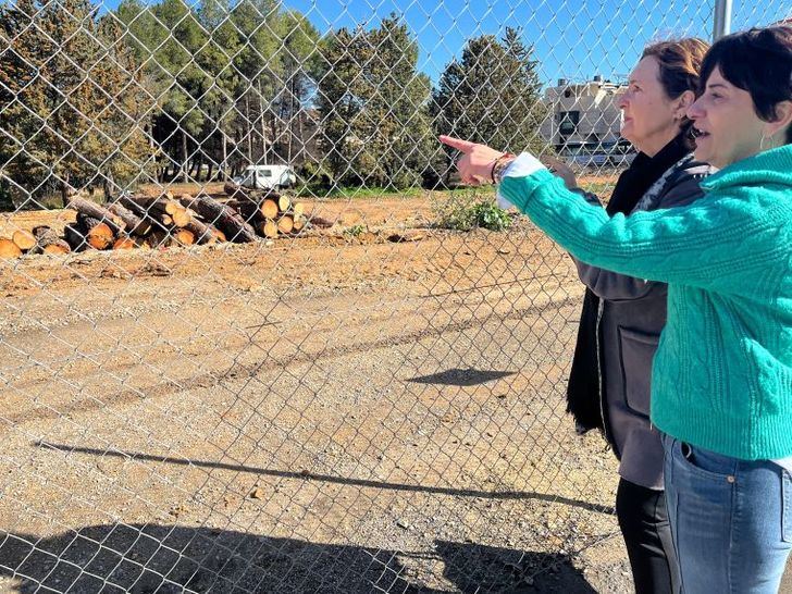 El Grupo Municipal Socialista exige a Manuel Serrano mayor escucha a los colectivos ciudadanos sobre sostenibilidad