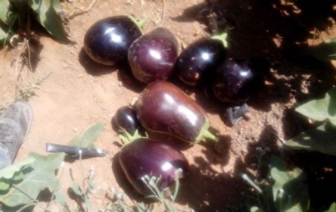 Redacción-Europa Press