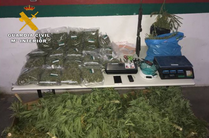 Cuatro detenidos en Villarrobledo con más de 8 kilos de marihuana y plantas, que hubieran supuesto más de 51.000 dosis