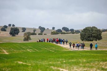 Ruta de Senderismo en Barrax: Explora los paisajes de La Mancha el 18 de mayo