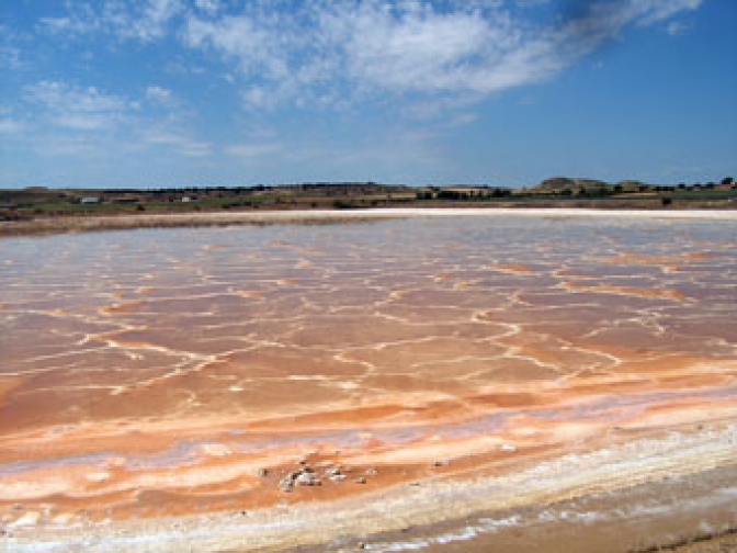 Las lagunas hipersalinas pueden actuar de barrera contra la contaminación del agua subterránea, según la UCLM