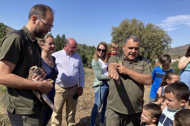 La Junta devuelve al medio natural un busardo ratonero tras su recuperación en el Centro de la Fauna Silvestre de Albacete