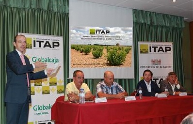 El ITAP organiza una jornada técnica de reestructuración y reconversión del viñedo en Castilla-La Mancha, junto con Globalcaja