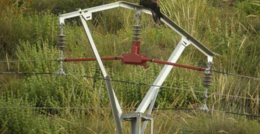 La caída de un cable eléctrico corta la N-322 en Balazote (Albacete)