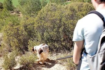 Diputación de Cuenca informa a cazadores sobre control de conejos