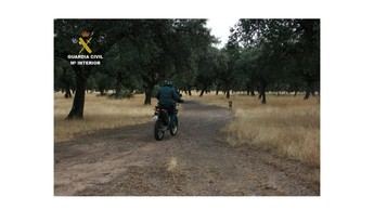 El 30% de los delitos en Ciudad Real son por caza ilegal, según el Seprona