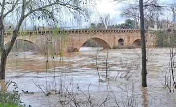 Guadalajara restringe accesos al Paseo Fluvial por aumento del caudal del río Henares