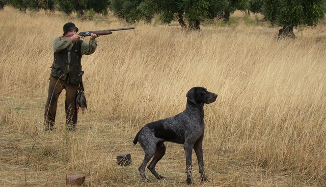 La Federación de Casa y Aproca de Castilla-La Mancha muestran sus críticas al anteproyecto de ley bienestar animal