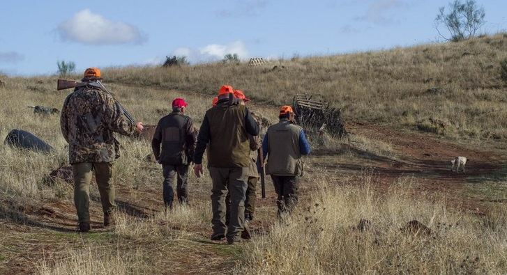Castilla-La Mancha inicia este domingo la temporada hábil de caza mayor y menor