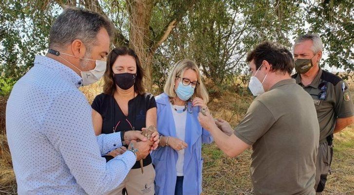 Mejorar las instalaciones el Centro de Fauna y Educación Ambiental de Albacete costará cerca 122.000 euros