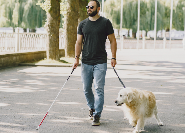 Primeros pasos para la Ley de acceso al entorno de las personas con discapacidad acompañadas de perros