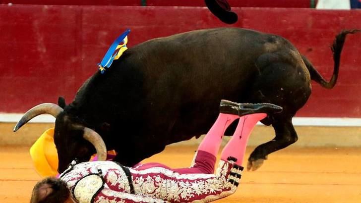 Gravísima cogida del torero Mariano de la Viña, de la cuadrilla de Enrique Ponce, en Zaragoza