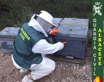 La Guardia Civil de Almansa recupera 40 colmenas y 566 cuadros robados valorados en 5.300 euros