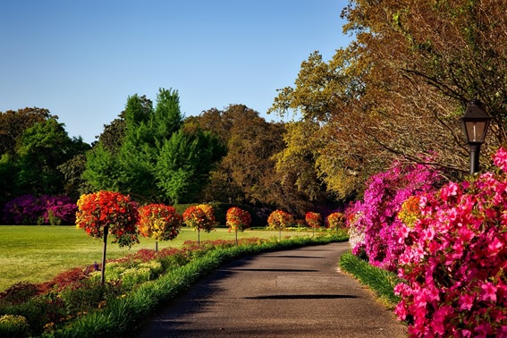 Cómo mantener un jardín en perfectas condiciones