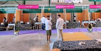 Cinco restaurantes de Albacete son finalistas en el XV Concurso Nacional ‘Ajo Morado de Las Pedroñeras’