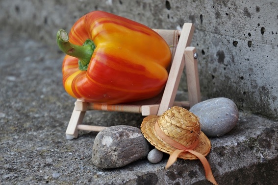 Consejos para adelgazar y empezar a ponerte en forma