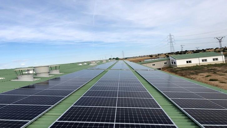 La instalación de paneles solares reduce la factura eléctrica de las empresas