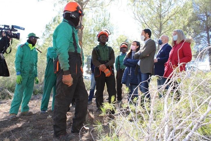 Castilla-La Mancha aprobará esta primavera una nueva línea de ayudas para la ejecución de tratamientos selvícolas