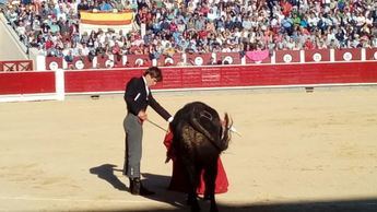 Albacete se volcó, como siempre, con el festival taurino del Cotolengo