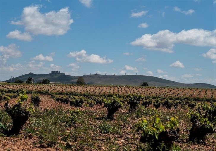 C-LM aprobará este martes un decreto para flexibilizar requisitos y pagos en todas las líneas de ayudas agroalimentarias