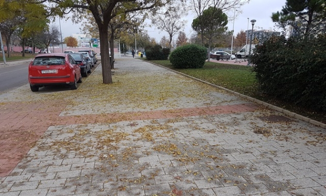 Algunas calles de Albacete llevan 15 días sin ser limpiadas, denuncia el concejal Pedro Soriano