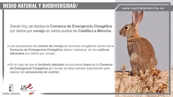 Castilla-La Mancha declara emergencia cinegética temporal por daños causados por los conejos en 279 municipios de la región