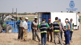 25 detenidos en Albacete por explotación laboral en una operación contra la inmigración ilegal