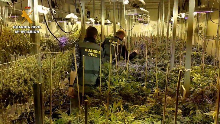 La Guardia Civil evita el tráfico de 2 millones de dosis de marihuana en Albacete