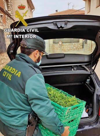 Detenida una mujer que transportaba cinco kilos de marihuana en cogollos listos para su distribución, en Uceda (Guadalajara)
